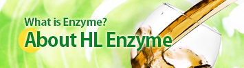 About HL Enzyme